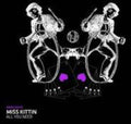 the album cover for Miss Kittin - All You Need