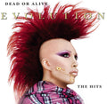 the album cover for Dead Or Alive - Evolution: The Hits