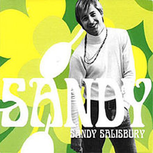the album cover for Sandy Salisbury - Sandy