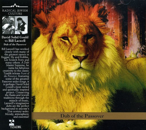 the album cover for David Gould Solid Vs Bill Laswell - Dub of the Passover