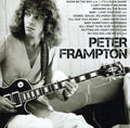 the album cover for Peter Frampton - Icon