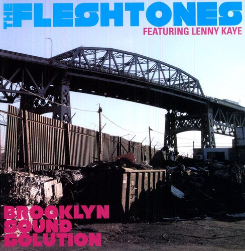 the album cover for The Fleshtones - Brooklyn Sound Solution