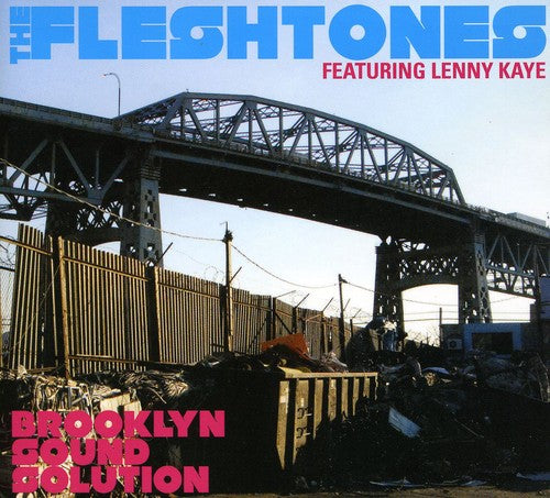the album cover for The Fleshtones - Brooklyn Sound Solution [Limited Edition] [Deluxe Edition] [With DVD]