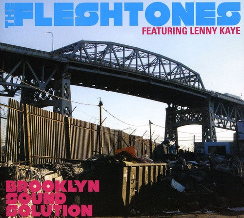 the album cover for The Fleshtones - Brooklyn Sound Solution