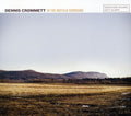 the album cover for Dennis Crommett - In the Buffalo Surround