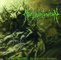 the album cover for Near Death Condition - Disembodied: In Spiritual Spheres