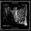 the album cover for Against Me! - True Trans Soul Rebel
