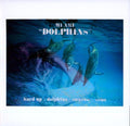 the album cover for Mi Ami - Dolphins