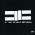 the album cover for Cavalera Conspiracy - Blunt Force Trauma