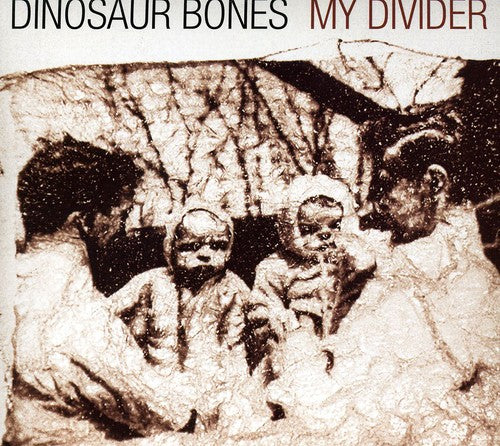 the album cover for Dinosaur Bones - My Divider