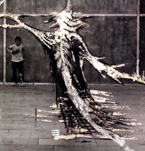 the album cover for Shackleton - Deadman