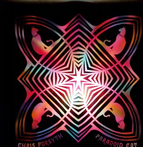 the album cover for Chris Forsyth - Paranoid Cat
