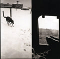 the album cover for Braveyoung - We Are Lonely Animals