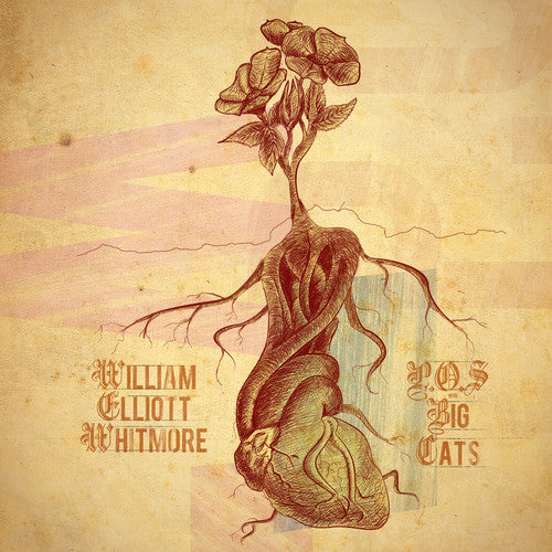 the album cover for William Whitmore Elliott / POS - Split