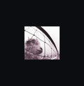 the album cover for Pearl Jam - Vs./Vitalogy (Featuring Live At The Orp