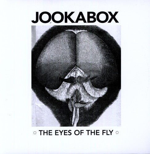 the album cover for Jookabox - The Eyes Of The Fly