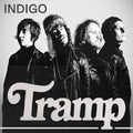 the album cover for Tramp - Indigo