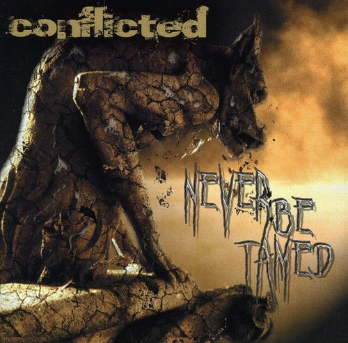 the album cover for Conflicted - Origins