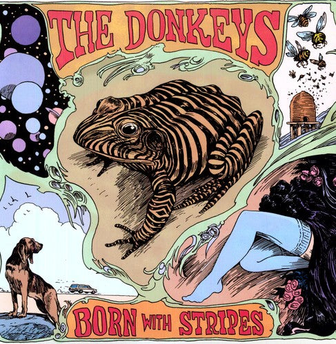 the album cover for The Donkeys - Born with Stripes