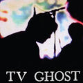 the album cover for Tv Ghost - Mass Dream