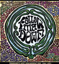 the album cover for Follow Me Down Vanguards Lost Psychedelic Era - Follow Me Down