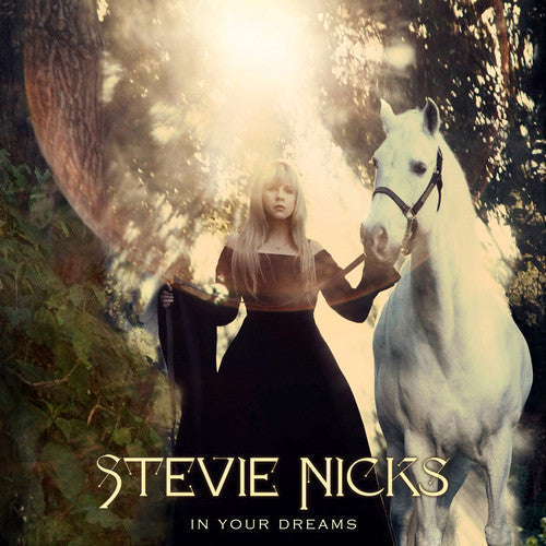 the album cover for Stevie Nicks - In Your Dreams