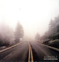 the album cover for Gentlemen Drivers - Asphalt