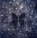 the album cover for Lotus Eaters - Wurmwulv