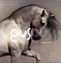 the album cover for Gus Gus - Arabian Horse