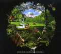 the album cover for Dominik Eulberg - Diorama