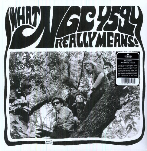 the album cover for Ngc-4594 - What Really Means