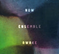 the album cover for Burke/Dancigers/Greenstein/Muh - Awake