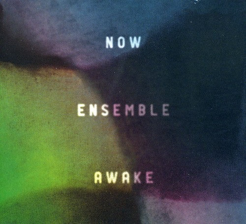the album cover for Burke/Dancigers/Greenstein/Muh - Awake