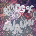 the album cover for Birds Of Avalon - Birds Of Avalon