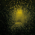 the album cover for The Antlers - Burst Apart