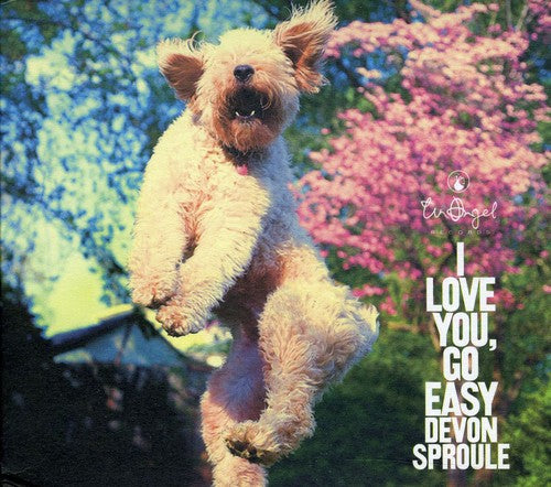 the album cover for Devon Sproule - I Love You, Go Easy
