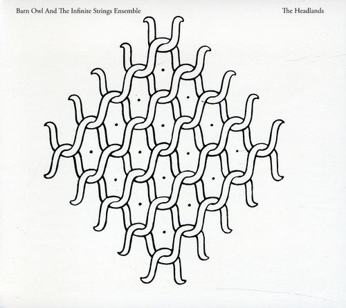 the album cover for Barn Owl & The Infinite Stri - Ensemble