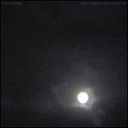 the album cover for Evan Caminiti - When California Falls Into the Sea
