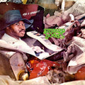 the album cover for Swamp Dogg - Gag a Maggot