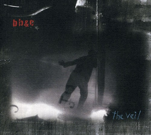the album cover for Nels Cline & Jim Black - The Veil