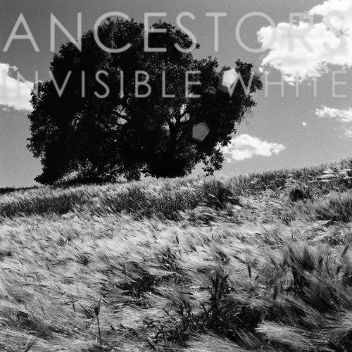 the album cover for Ancestors - Invisible White