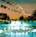 the album cover for Painted Palms - Canopy
