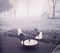 the album cover for Jesu - Ascension