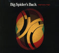 the album cover for Big Spiders Back - Memory Man