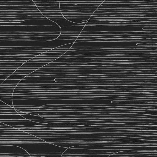 the album cover for Oneida - Absolute II