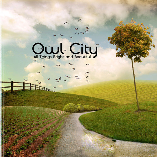 the album cover for Owl City - All Things Bright and Beautiful