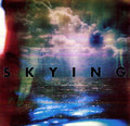 the album cover for The Horrors - Skying [LP]