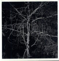 the album cover for Chllngr - Haven