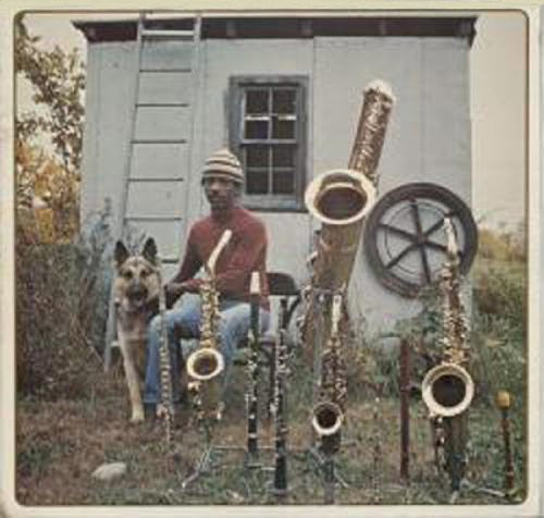 the album cover for Roscoe Mitchell - The Solo Concert