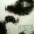 the album cover for Sons & Daughters - Breaking Fun (Uk)